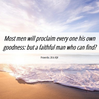 Picture 06 - Proverbs 20:6 KJV - Most men will proclaim every one his own - Bible Verse Picture