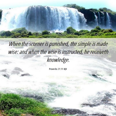Picture 06 - Proverbs 21:11 KJV - When the scorner is punished, the simple is made - Bible Verse Picture