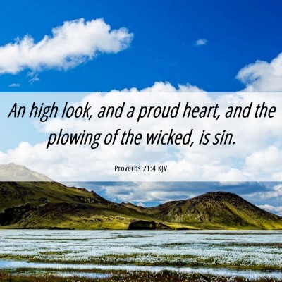 Picture 06 - Proverbs 21:4 KJV - An high look, and a proud heart, and the plowing - Bible Verse Picture