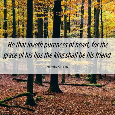Picture 06 - Proverbs 22:11 KJV - He that loveth pureness of heart, for the grace - Bible Verse Picture