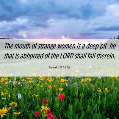 Picture 06 - Proverbs 22:14 KJV - The mouth of strange women is a deep pit: he that - Bible Verse Picture