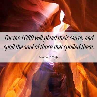 Picture 06 - Proverbs 22:23 KJV - For the LORD will plead their cause, and spoil - Bible Verse Picture