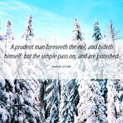 Picture 06 - Proverbs 22:3 KJV - A prudent man foreseeth the evil, and hideth - Bible Verse Picture