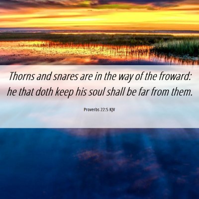 Picture 06 - Proverbs 22:5 KJV - Thorns and snares are in the way of the froward: - Bible Verse Picture