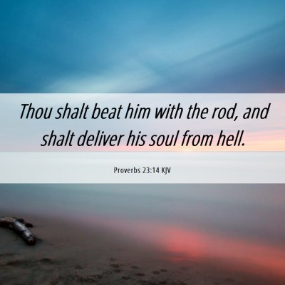 Picture 06 - Proverbs 23:14 KJV - Thou shalt beat him with the rod, and shalt - Bible Verse Picture
