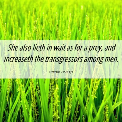 Picture 06 - Proverbs 23:28 KJV - She also lieth in wait as for a prey, and - Bible Verse Picture