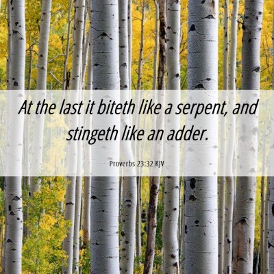 Picture 06 - Proverbs 23:32 KJV - At the last it biteth like a serpent, and - Bible Verse Picture