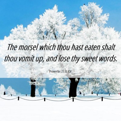 Picture 06 - Proverbs 23:8 KJV - The morsel which thou hast eaten shalt thou vomit - Bible Verse Picture