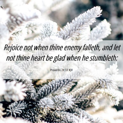 Picture 06 - Proverbs 24:17 KJV - Rejoice not when thine enemy falleth, and let not - Bible Verse Picture