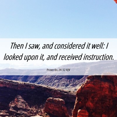 Picture 06 - Proverbs 24:32 KJV - Then I saw, and considered it well: I looked upon - Bible Verse Picture