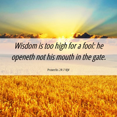 Picture 06 - Proverbs 24:7 KJV - Wisdom is too high for a fool: he openeth not his - Bible Verse Picture