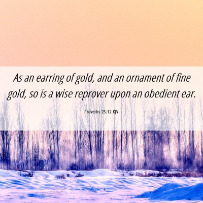 Picture 06 - Proverbs 25:12 KJV - As an earring of gold, and an ornament of fine - Bible Verse Picture