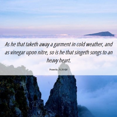 Picture 06 - Proverbs 25:20 KJV - As he that taketh away a garment in cold weather, - Bible Verse Picture