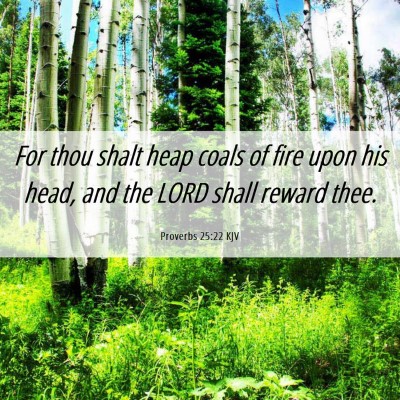 Picture 06 - Proverbs 25:22 KJV - For thou shalt heap coals of fire upon his head, - Bible Verse Picture