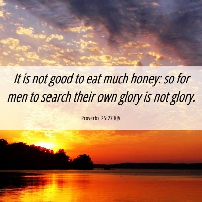 Picture 06 - Proverbs 25:27 KJV - It is not good to eat much honey: so for men to - Bible Verse Picture