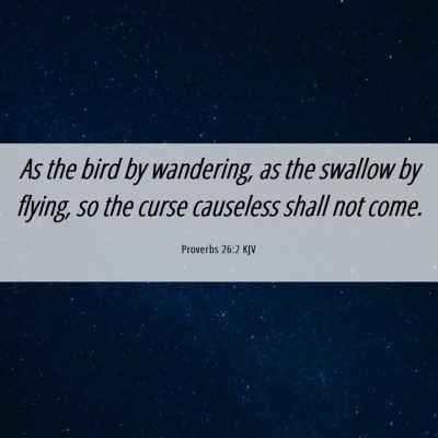 Picture 06 - Proverbs 26:2 KJV - As the bird by wandering, as the swallow by - Bible Verse Picture