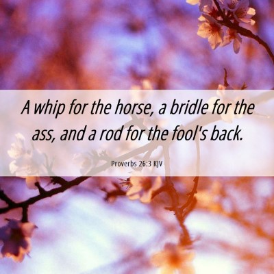 Picture 06 - Proverbs 26:3 KJV - A whip for the horse, a bridle for the ass, and a - Bible Verse Picture