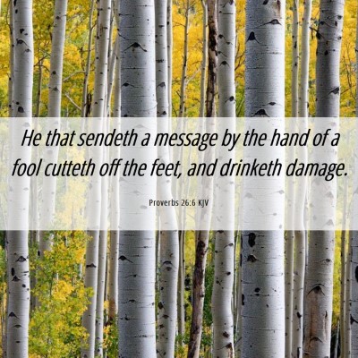 Picture 06 - Proverbs 26:6 KJV - He that sendeth a message by the hand of a fool - Bible Verse Picture