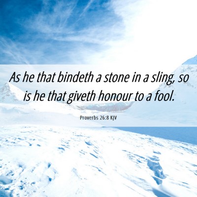 Picture 06 - Proverbs 26:8 KJV - As he that bindeth a stone in a sling, so is he - Bible Verse Picture