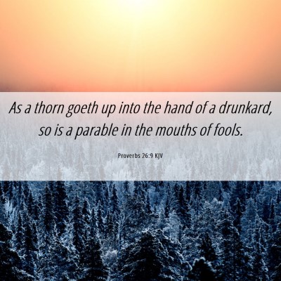 Picture 06 - Proverbs 26:9 KJV - As a thorn goeth up into the hand of a drunkard, - Bible Verse Picture