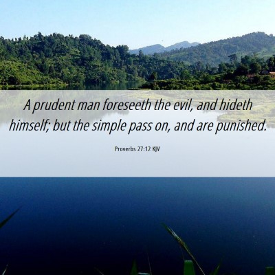 Picture 06 - Proverbs 27:12 KJV - A prudent man foreseeth the evil, and hideth - Bible Verse Picture