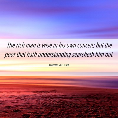 Picture 06 - Proverbs 28:11 KJV - The rich man is wise in his own conceit; but the - Bible Verse Picture