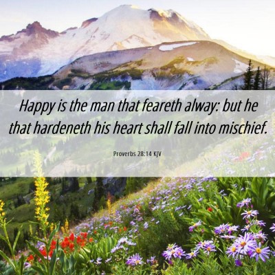 Picture 06 - Proverbs 28:14 KJV - Happy is the man that feareth alway: but he that - Bible Verse Picture