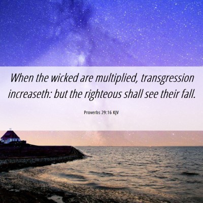 Picture 06 - Proverbs 29:16 KJV - When the wicked are multiplied, transgression - Bible Verse Picture