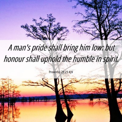 Picture 06 - Proverbs 29:23 KJV - A man's pride shall bring him low: but honour - Bible Verse Picture