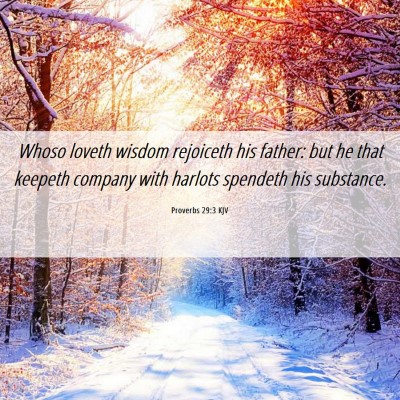 Picture 06 - Proverbs 29:3 KJV - Whoso loveth wisdom rejoiceth his father: but he - Bible Verse Picture