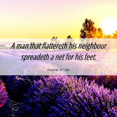 Picture 06 - Proverbs 29:5 KJV - A man that flattereth his neighbour spreadeth a - Bible Verse Picture