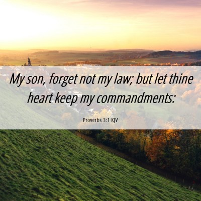 Picture 06 - Proverbs 3:1 KJV - My son, forget not my law; but let thine heart - Bible Verse Picture