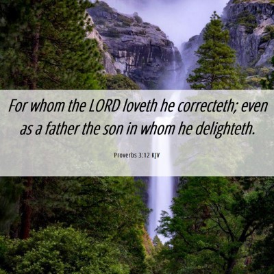 Picture 06 - Proverbs 3:12 KJV - For whom the LORD loveth he correcteth; even as a - Bible Verse Picture