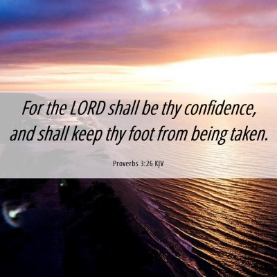 Picture 06 - Proverbs 3:26 KJV - For the LORD shall be thy confidence, and shall - Bible Verse Picture
