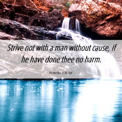 Picture 06 - Proverbs 3:30 KJV - Strive not with a man without cause, if he have - Bible Verse Picture