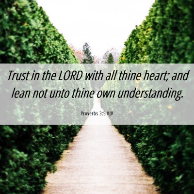 Picture 06 - Proverbs 3:5 KJV - Trust in the LORD with all thine heart; and lean - Bible Verse Picture