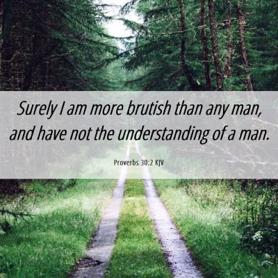 Picture 06 - Proverbs 30:2 KJV - Surely I am more brutish than any man, and have - Bible Verse Picture