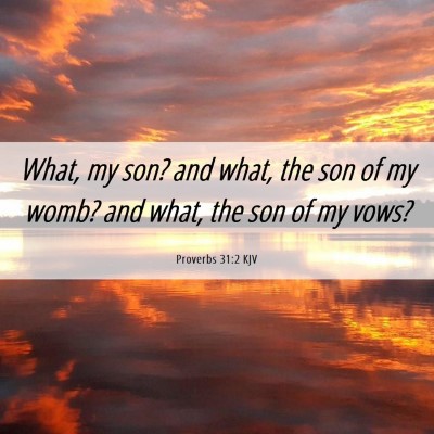Picture 06 - Proverbs 31:2 KJV - What, my son? and what, the son of my womb? and - Bible Verse Picture