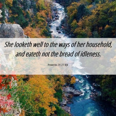 Picture 06 - Proverbs 31:27 KJV - She looketh well to the ways of her household, - Bible Verse Picture