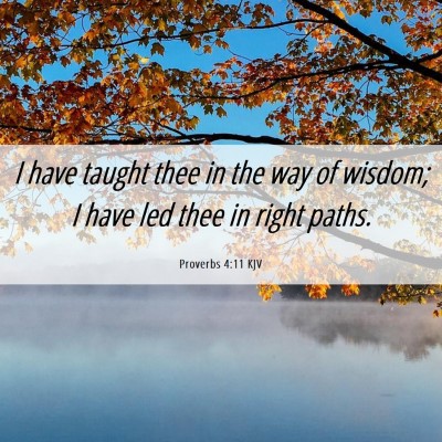 Picture 06 - Proverbs 4:11 KJV - I have taught thee in the way of wisdom; I have - Bible Verse Picture