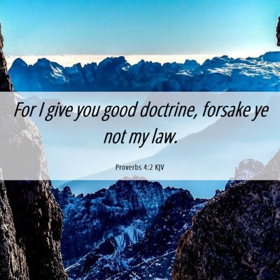 Picture 06 - Proverbs 4:2 KJV - For I give you good doctrine, forsake ye not my - Bible Verse Picture