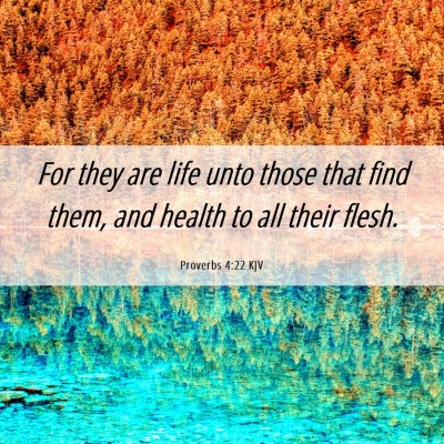 Picture 06 - Proverbs 4:22 KJV - For they are life unto those that find them, and - Bible Verse Picture