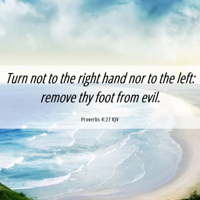 Picture 06 - Proverbs 4:27 KJV - Turn not to the right hand nor to the left: - Bible Verse Picture