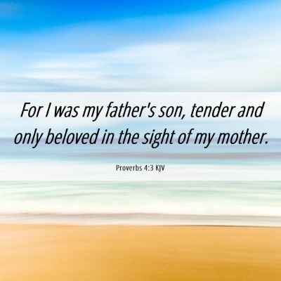 Picture 06 - Proverbs 4:3 KJV - For I was my father's son, tender and only - Bible Verse Picture