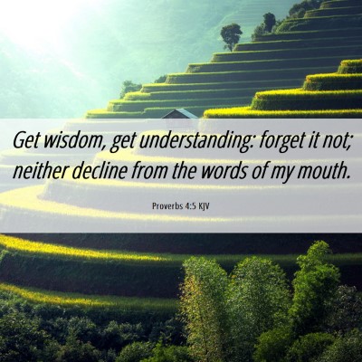 Picture 06 - Proverbs 4:5 KJV - Get wisdom, get understanding: forget it not; - Bible Verse Picture