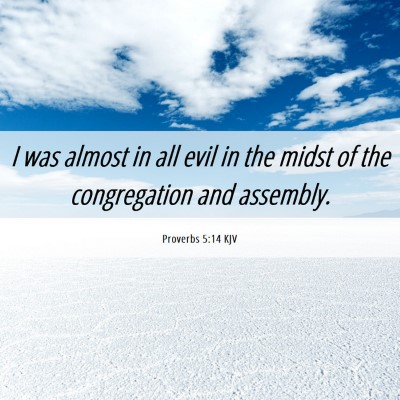 Picture 06 - Proverbs 5:14 KJV - I was almost in all evil in the midst of the - Bible Verse Picture
