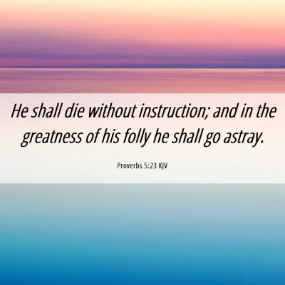 Picture 06 - Proverbs 5:23 KJV - He shall die without instruction; and in the - Bible Verse Picture