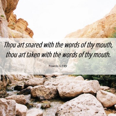 Picture 06 - Proverbs 6:2 KJV - Thou art snared with the words of thy mouth, thou - Bible Verse Picture