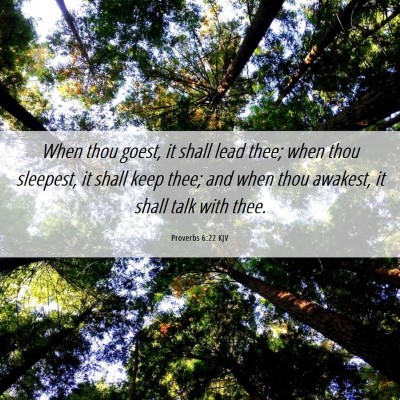 Picture 06 - Proverbs 6:22 KJV - When thou goest, it shall lead thee; when thou - Bible Verse Picture
