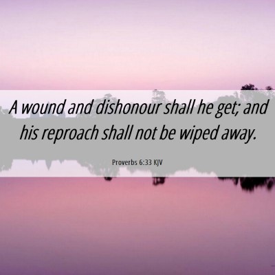 Picture 06 - Proverbs 6:33 KJV - A wound and dishonour shall he get; and his - Bible Verse Picture